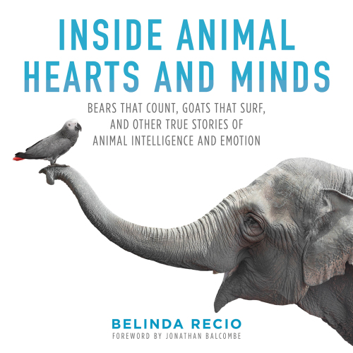 Skyhorse Inside animal hearts and minds: bears that count, goats that surf, and other true stories of animal intelligence and emotion