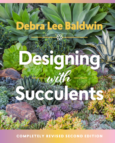 Designing with succulents: create a lush garden of waterwise plants