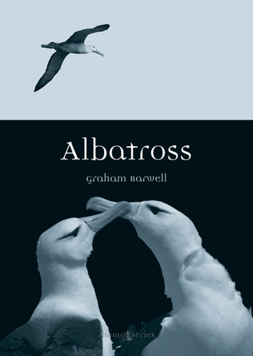 Albatross