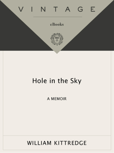 Hole in the sky: a memoir