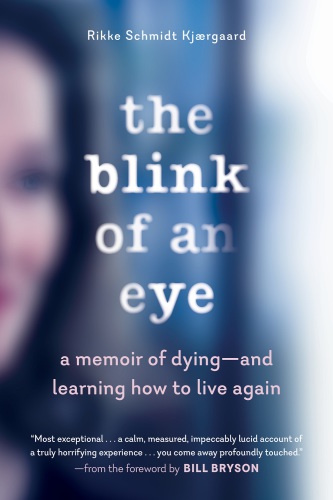 The blink of an eye: a memoir of dying--and learning how to live again