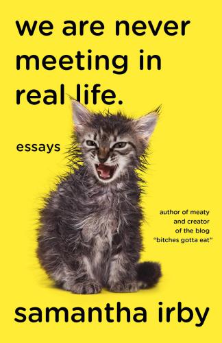 We are never meeting in real life: essays
