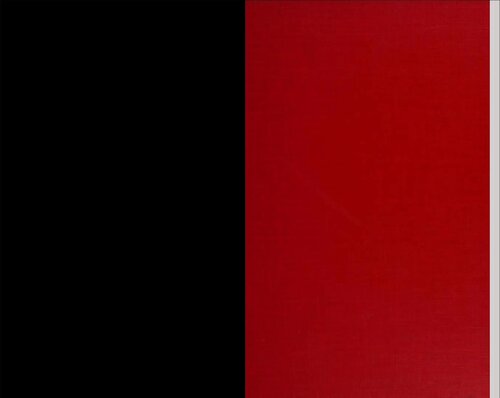 The autistic child: Language development through behavior modification