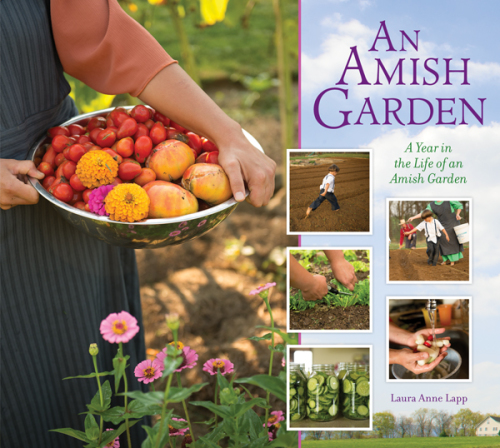 Amish Garden: a Year in the Life of an Amish Garden