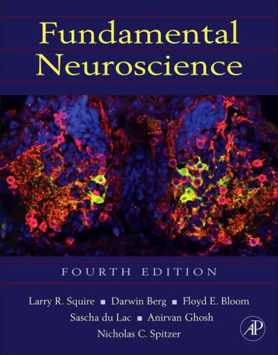 Fundamental Neuroscience