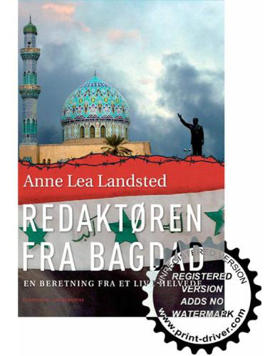Redaktøren fra Bagdad: en beretning fra et liv i helvede