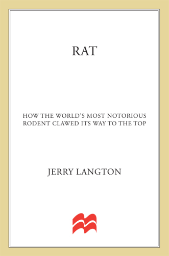 Rat: How the World's Most Notorious Rodent Clawed Its Way to the Top