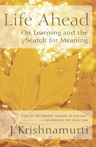 Life Ahead: On Learning and the Search for Meaning