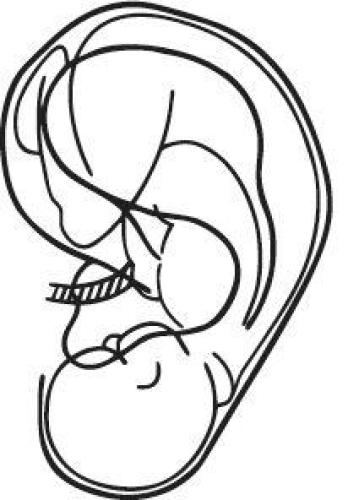 The Human Hologram: Living Your Life in Harmony with the Unified Field