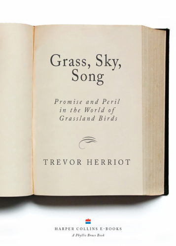 Grass, sky, song: promise and peril in world of grassland birds