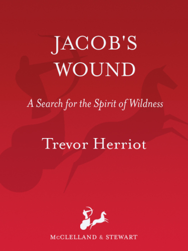 Jacob's wound: a search for the spirit of wildness