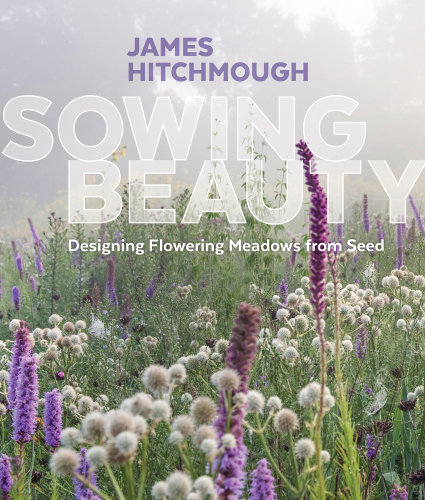 Sowing beauty: designing flowering meadows from seed