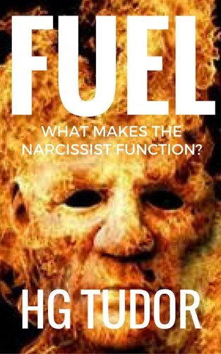 Fuel: What Makes the Narcissist Function?