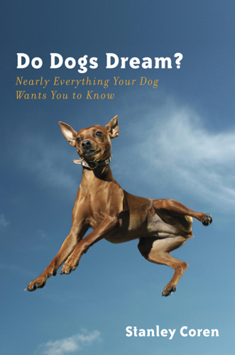 Do dogs dream?: nearly everything your dog wants you to know