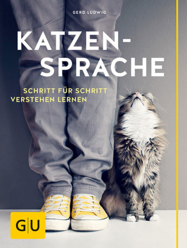 Katzensprache Schritt für Schritt verstehen lernen