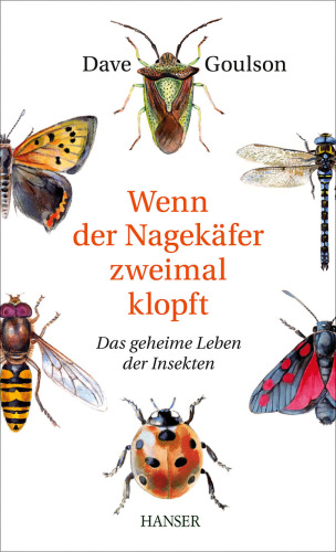 Wenn der Nagekäfer zweimal klopft Das geheime Leben der Insekten