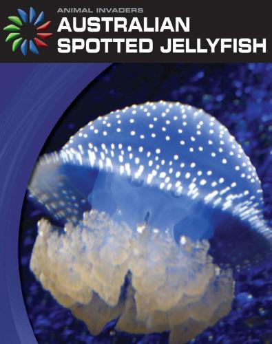 Australian Spotted Jellyfish