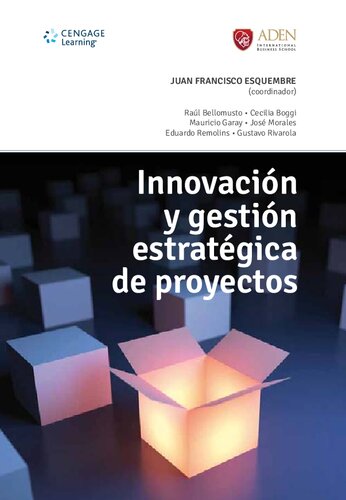 Innovación y gestión estratégica de proyectos.