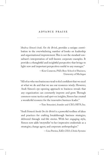 On the Brink: A Fresh Lens to Take Your Business to New Heights