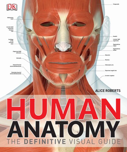 Human Anatomy DK