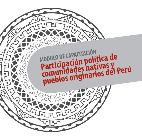 Participación política de comunidades nativas y pueblos originarios del Perú. Módulo de capacitación