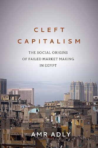 Cleft Capitalism: The Social Origins of Failed Market Making in Egypt