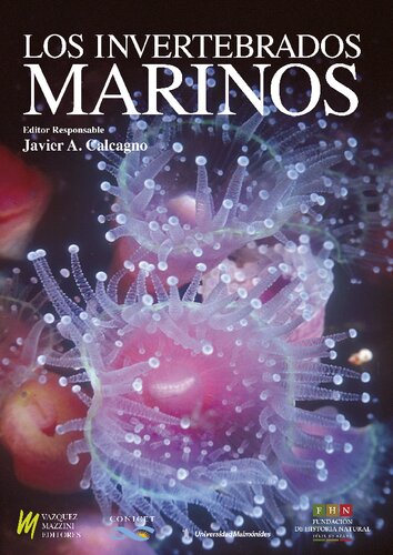 Los Invertebrados marinos