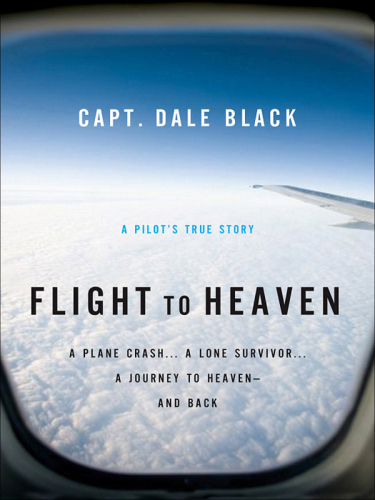 Flight to Heaven: a plane crash ... a lone survivor ... a journey to heaven - and back