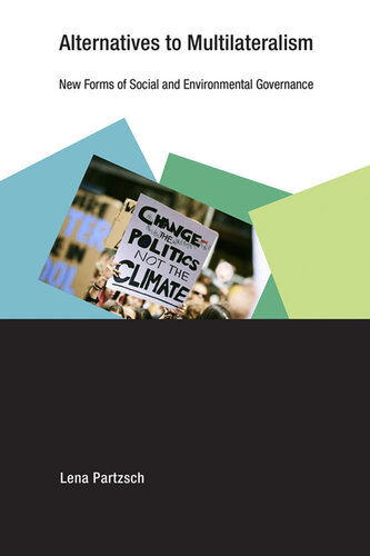 Alternatives to Multilateralism: New Forms of Social and Environmental Governance