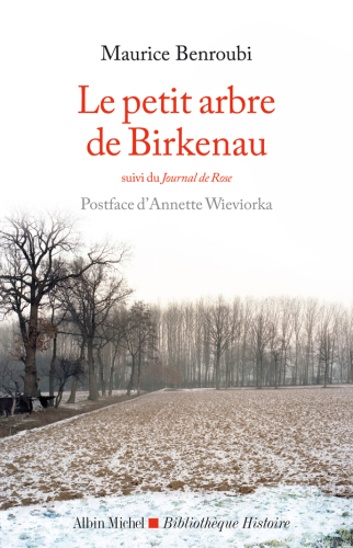 Le Petit arbre de Birkenau