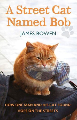 A street cat named bob