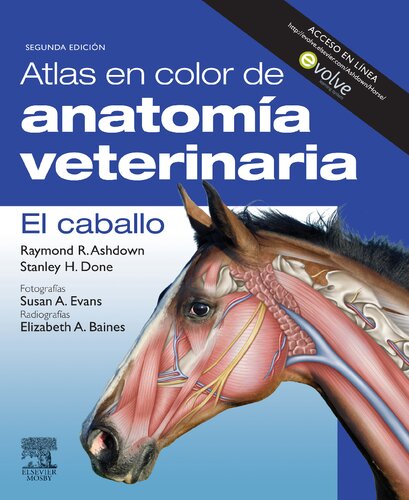 Atlas en color de anatomía veterinaria. El caballo