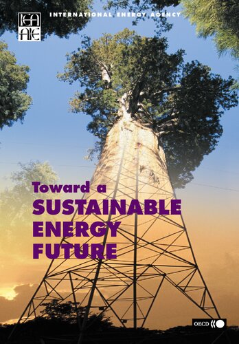 Toward a sustainable energy future