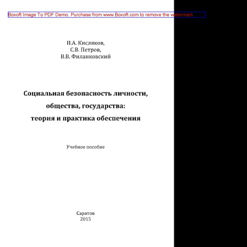 Социальная безопасность личности, общества, государства. Теория и практика обеспечения. Учебное пособие