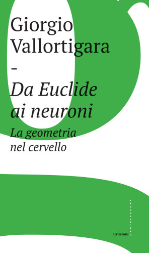 Da Euclide ai neuroni: la geometria nel cervello