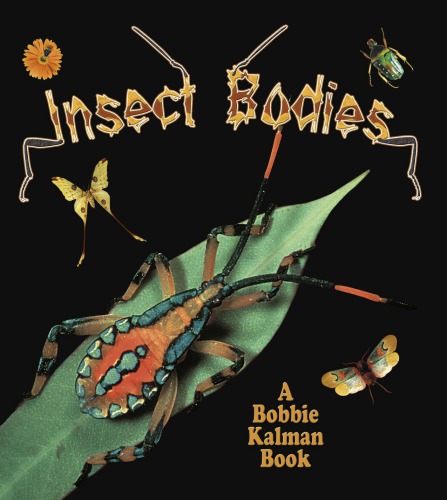 Insect bodies