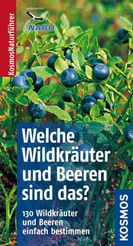 Welche Wildkräuter und Beeren sind das? [130 Wildkräuter und Beeren einfach bestimmen]