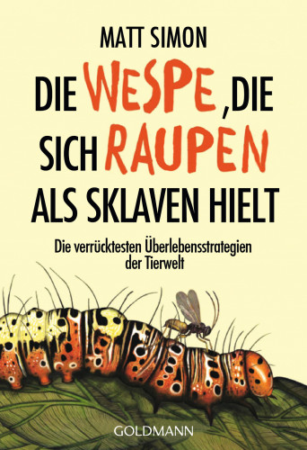 Die Wespe, die sich Raupen als Sklaven hielt: die verrücktesten Überlebensstrategien der Tierwelt