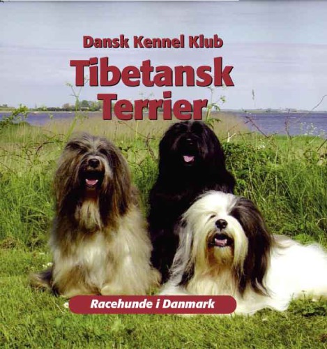 Tibetansk terrier