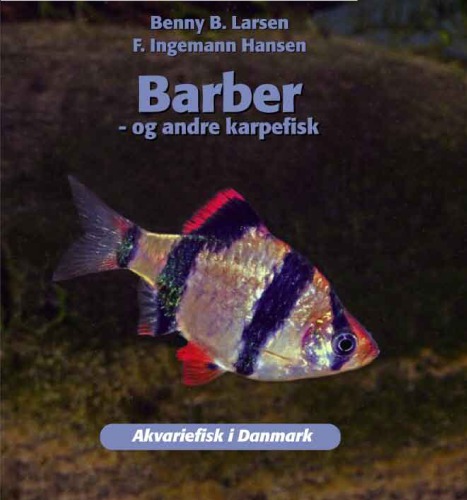 Barber - og andre karpefisk