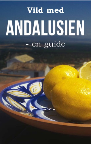 Vild med Andalusien: en guide