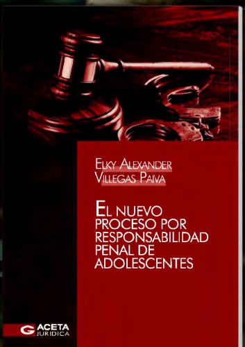EL NUEVO PROCESO POR RESPONSABILIDAD PENAL DE ADOLESCENTES