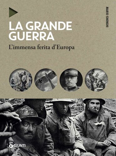 La grande guerra. L'immensa ferita d'Europa