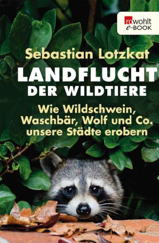 Landflucht der Wildtiere Wie Wildschwein, Waschbär, Wolf und Co. unsere Städte erobern