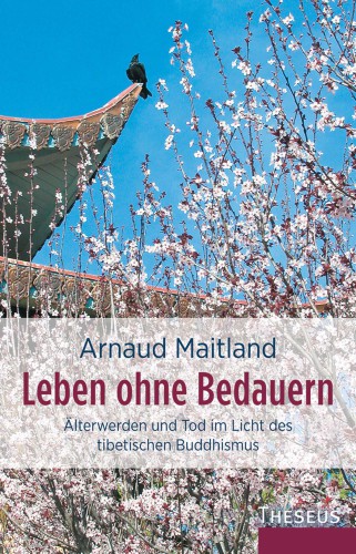 Leben ohne Bedauern: Aelterwerden und Tod im Licht des tibetischen Buddhismus