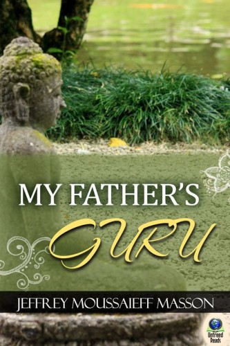 My father's guru: a journey through spirituality and disillusion