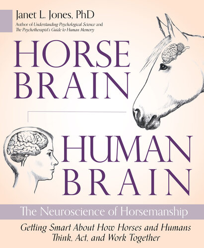 Horse Brain, Human Brain: The Neuroscience of Horsemanship
