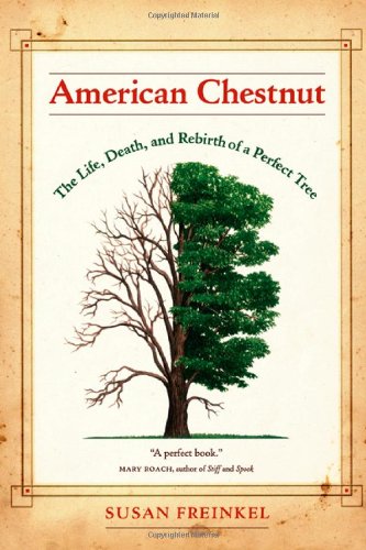 American Chestnut: The Life, Death, and Rebirth of a Perfect Tree