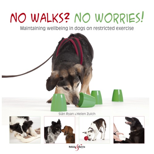 No walks? no worries!: maintaining wellbeing in dogs on restricted exercise