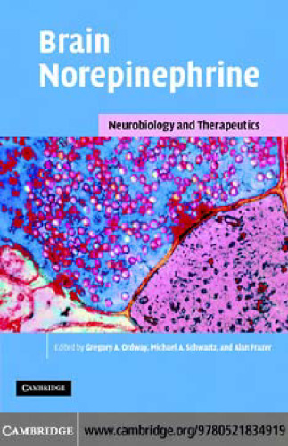 Brain Norepinephrine: Neurobiology and Therapeutics